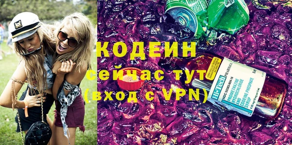 хмурый Богородицк