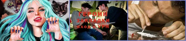 PSILOCYBIN Богородск