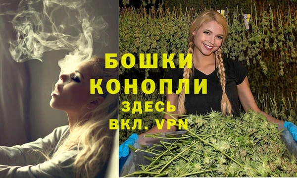 PSILOCYBIN Богородск