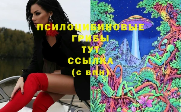 PSILOCYBIN Богородск