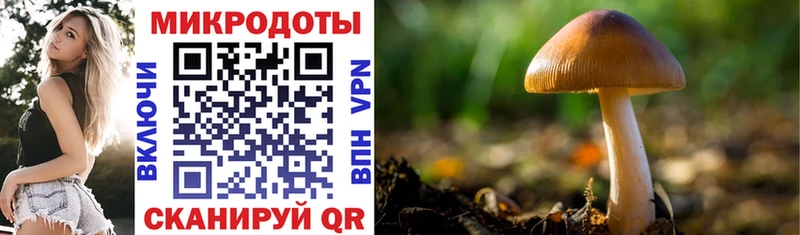 Псилоцибиновые грибы GOLDEN TEACHER  Купить где  Энгельс 